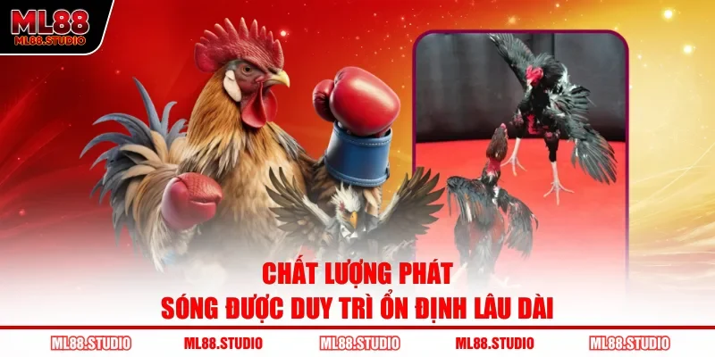Chất lượng phát sóng được duy trì ổn định lâu dài 